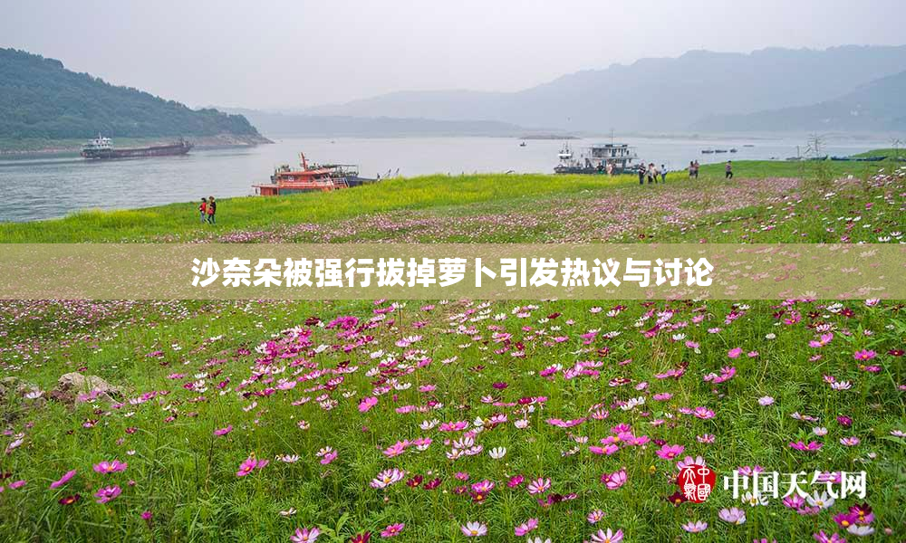 沙奈朵被强行拔掉萝卜引发热议与讨论