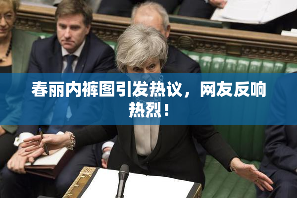 春丽内裤图引发热议，网友反响热烈！