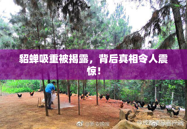 貂蝉吸重被揭露，背后真相令人震惊！