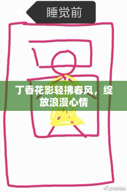丁香花影轻拂春风，绽放浪漫心情