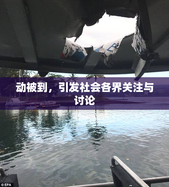 动被到，引发社会各界关注与讨论