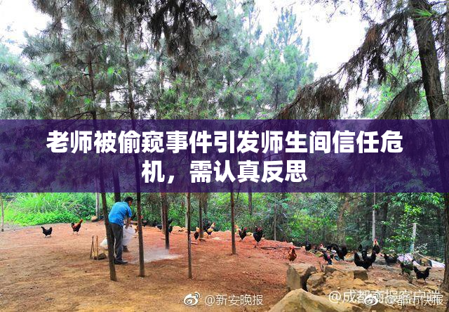 老师被偷窥事件引发师生间信任危机，需认真反思