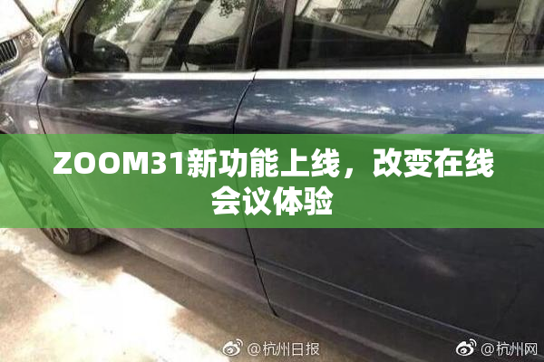 ZOOM31新功能上线，改变在线会议体验