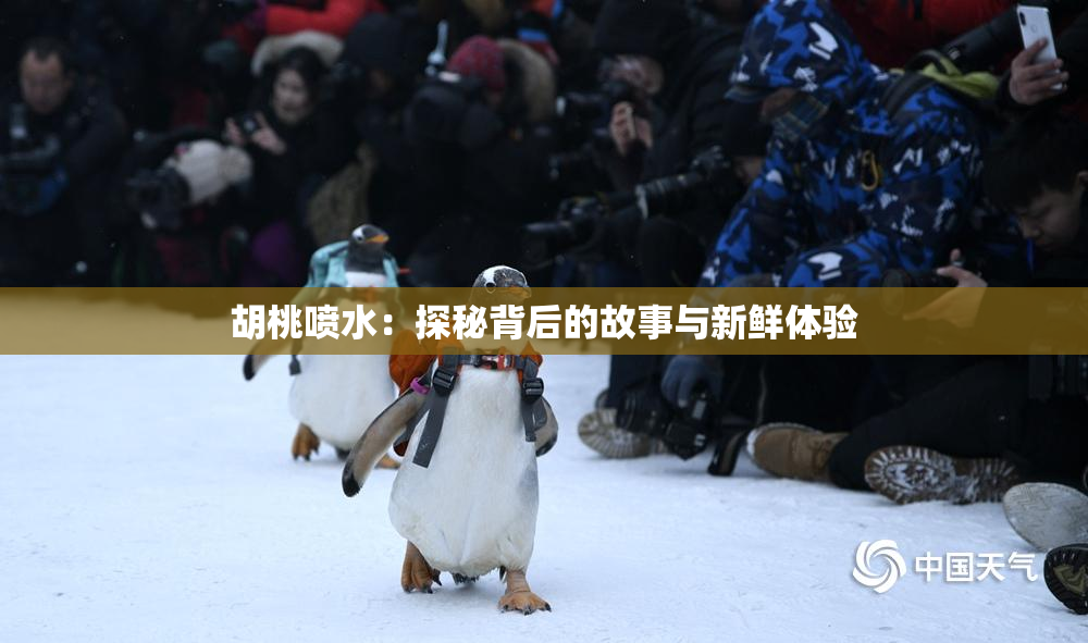 胡桃喷水：探秘背后的故事与新鲜体验