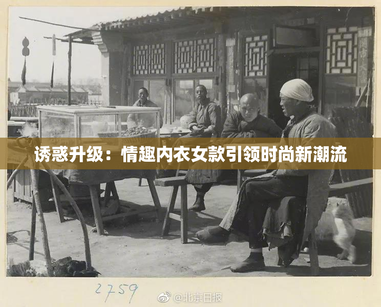 诱惑升级：情趣内衣女款引领时尚新潮流