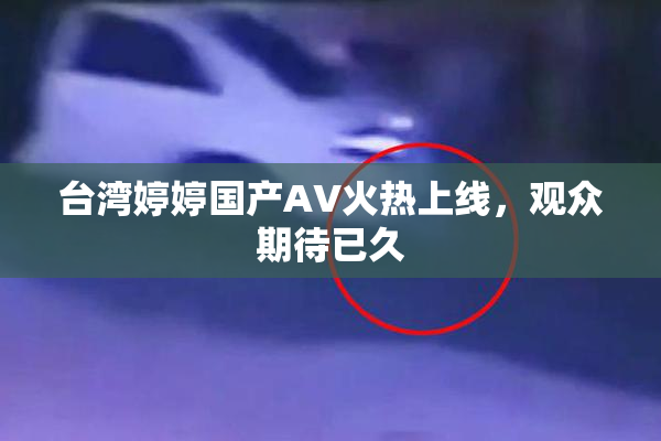 台湾婷婷国产AV火热上线，观众期待已久