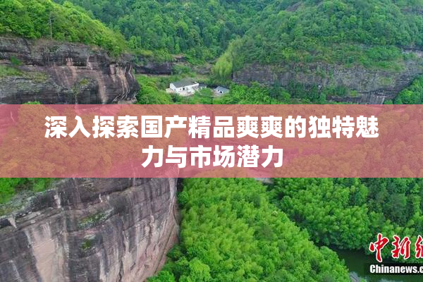 深入探索国产精品爽爽的独特魅力与市场潜力