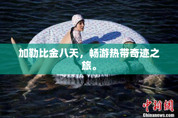 加勒比金八天，畅游热带奇迹之旅。