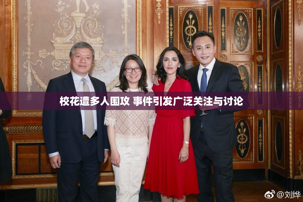 校花遭多人围攻 事件引发广泛关注与讨论