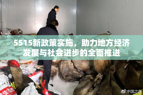5515新政策实施，助力地方经济发展与社会进步的全面推进
