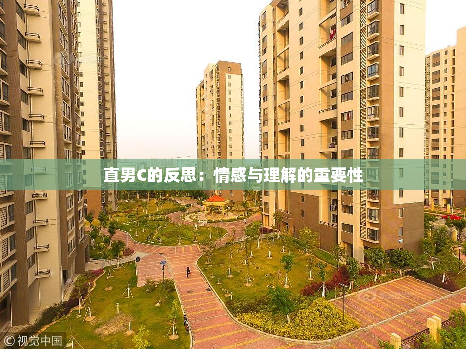 直男C的反思：情感与理解的重要性