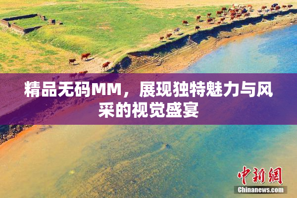 精品无码MM，展现独特魅力与风采的视觉盛宴