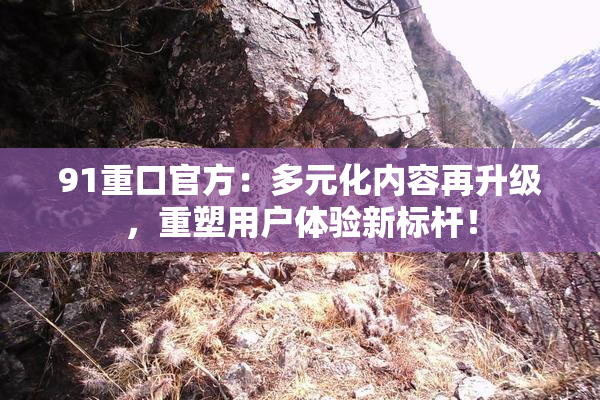 91重口官方：多元化内容再升级，重塑用户体验新标杆！