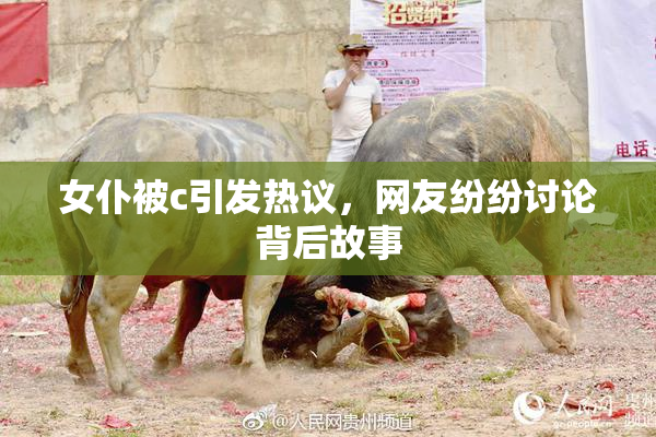女仆被c引发热议，网友纷纷讨论背后故事
