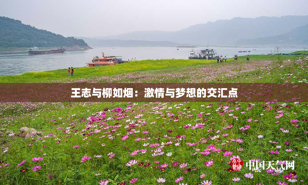 王志与柳如烟：激情与梦想的交汇点