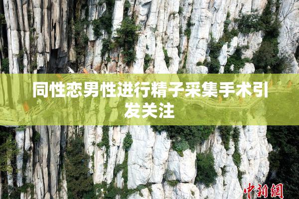 同性恋男性进行精子采集手术引发关注