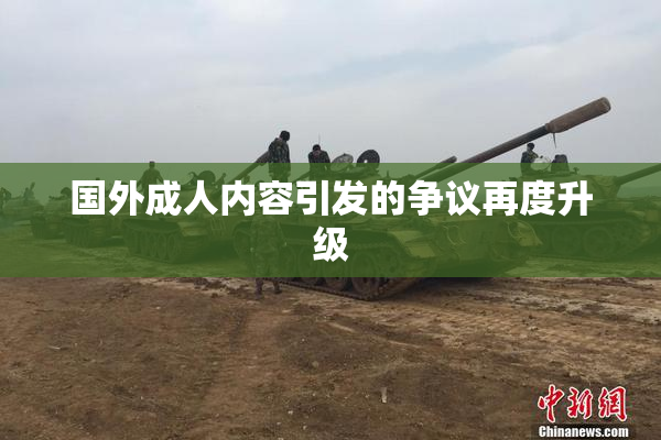 国外成人内容引发的争议再度升级