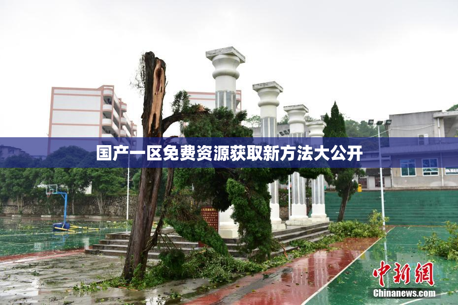 国产一区免费资源获取新方法大公开