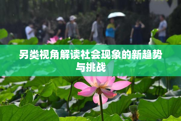 另类视角解读社会现象的新趋势与挑战