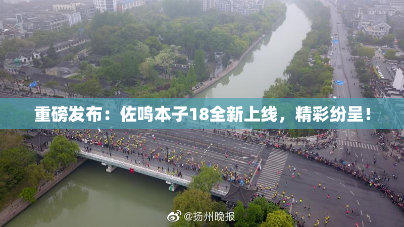 重磅发布：佐鸣本子18全新上线，精彩纷呈！