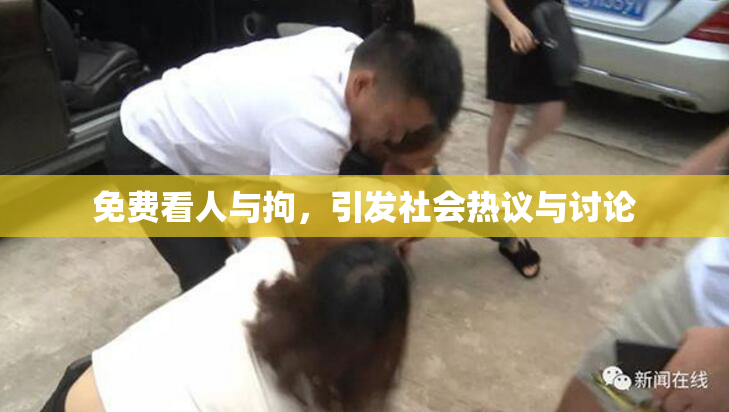 免费看人与拘，引发社会热议与讨论
