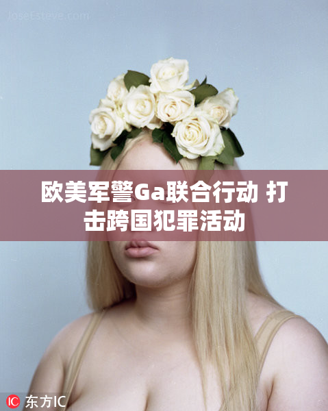 欧美军警Ga联合行动 打击跨国犯罪活动