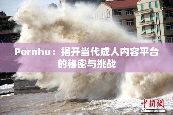 Pornhu：揭开当代成人内容平台的秘密与挑战