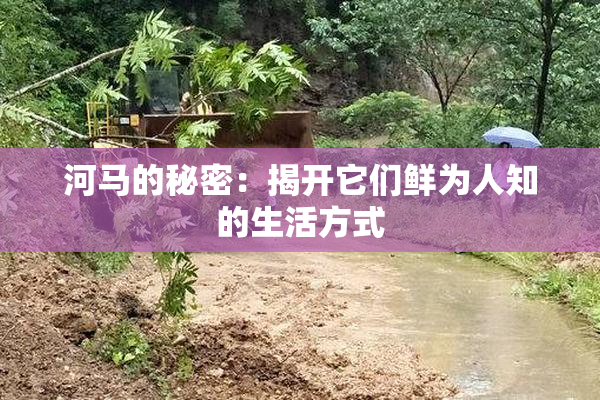河马的秘密：揭开它们鲜为人知的生活方式