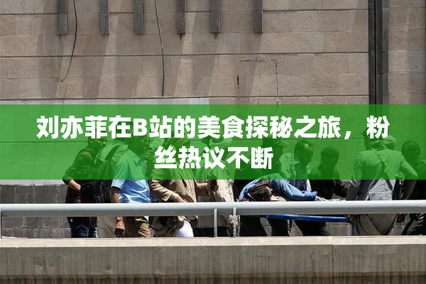 刘亦菲在B站的美食探秘之旅，粉丝热议不断