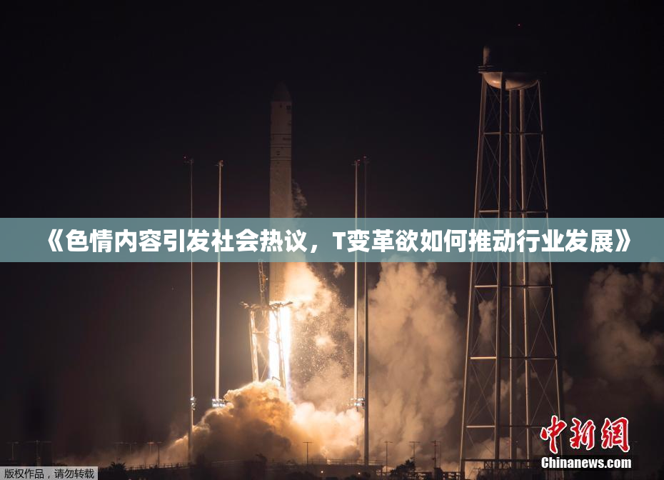 《色情内容引发社会热议，T变革欲如何推动行业发展》