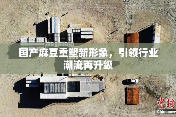 国产麻豆重塑新形象，引领行业潮流再升级