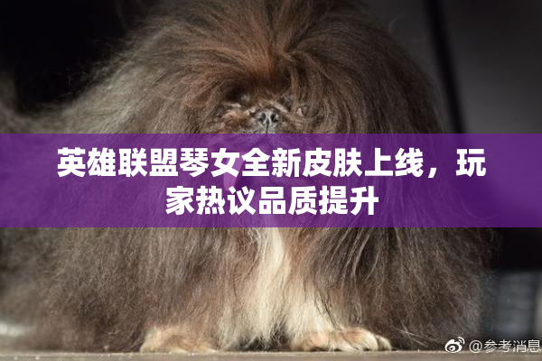 英雄联盟琴女全新皮肤上线，玩家热议品质提升