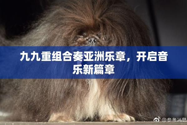 九九重组合奏亚洲乐章，开启音乐新篇章