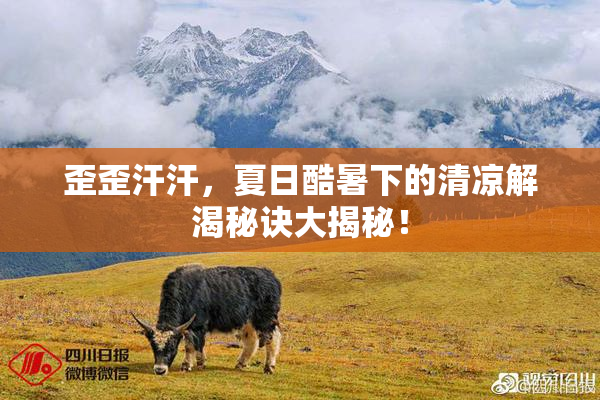 歪歪汗汗，夏日酷暑下的清凉解渴秘诀大揭秘！