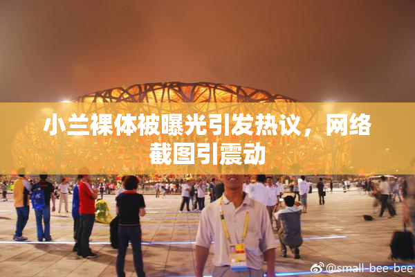 小兰裸体被曝光引发热议，网络截图引震动