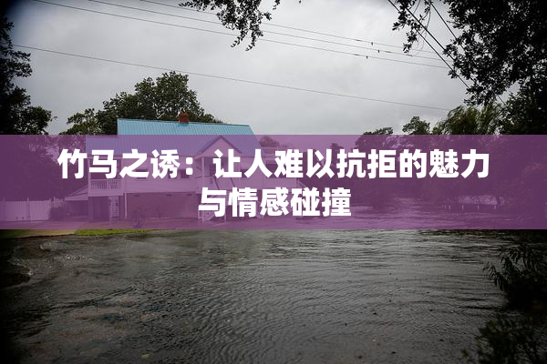 竹马之诱：让人难以抗拒的魅力与情感碰撞