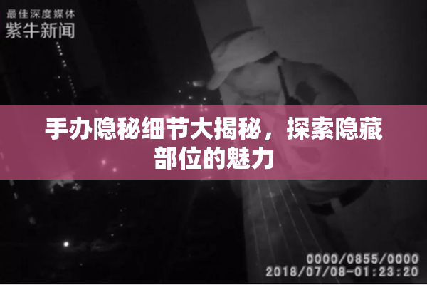 手办隐秘细节大揭秘，探索隐藏部位的魅力