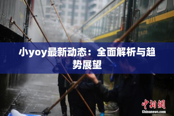 小yoy最新动态：全面解析与趋势展望