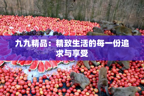 九九精品：精致生活的每一份追求与享受