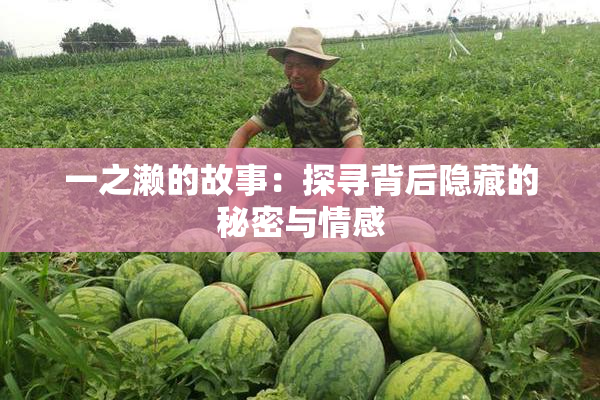一之濑的故事：探寻背后隐藏的秘密与情感