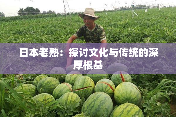 日本老熟：探讨文化与传统的深厚根基
