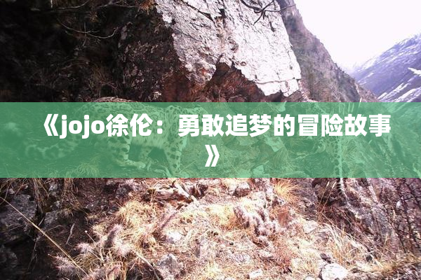 《jojo徐伦：勇敢追梦的冒险故事》