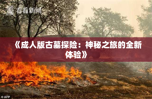 《成人版古墓探险：神秘之旅的全新体验》