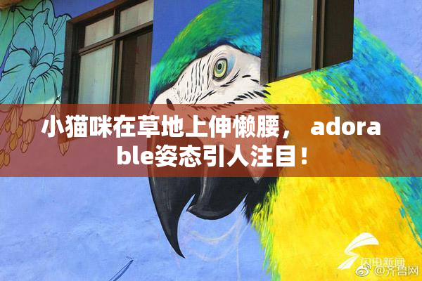 小猫咪在草地上伸懒腰， adorable姿态引人注目！