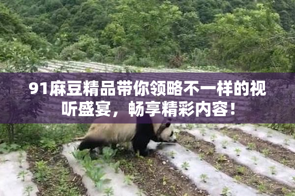 91麻豆精品带你领略不一样的视听盛宴，畅享精彩内容！