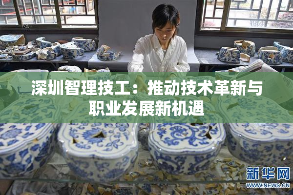 深圳智理技工：推动技术革新与职业发展新机遇