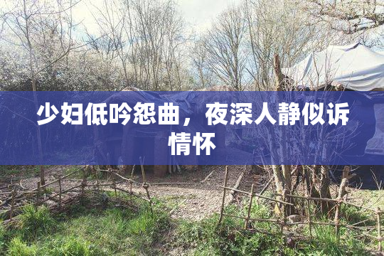 少妇低吟怨曲，夜深人静似诉情怀