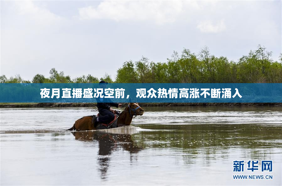 夜月直播盛况空前，观众热情高涨不断涌入