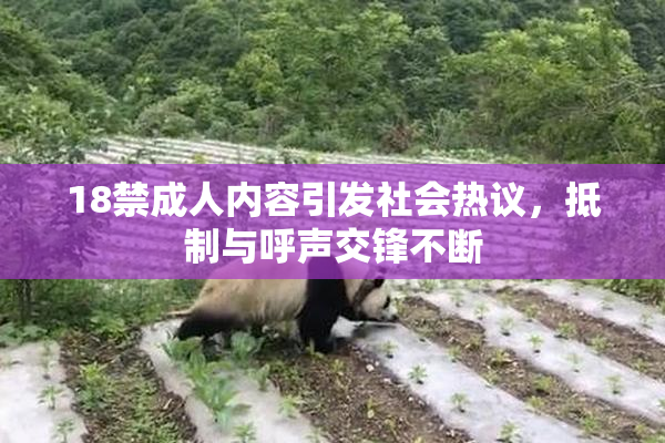 18禁成人内容引发社会热议，抵制与呼声交锋不断