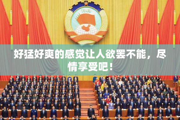 好猛好爽的感觉让人欲罢不能，尽情享受吧！